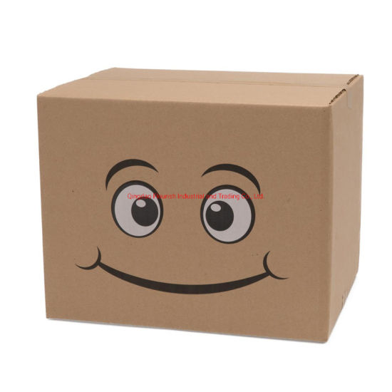Chine fabricant personnalisé ondulé papier ail poivre emballage carton boîte