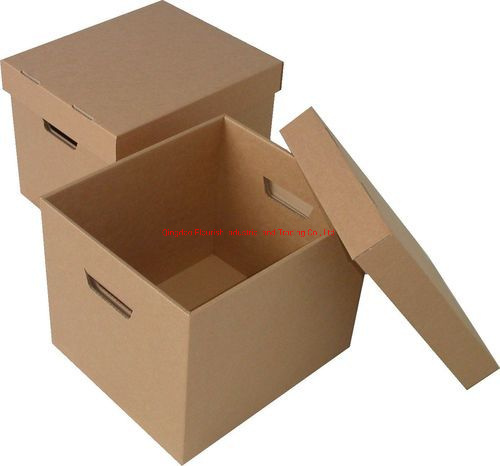 Boîte de papier de carton ondulé adaptée aux besoins du client pour le stockage et l'expédition de poivre