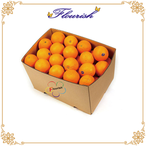 Boîte de papier d'emballage de légumes d'oranges en papier ondulé